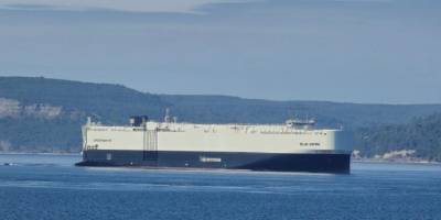 Ford Otosan, ihracat için özel tasarlanmış gemi kiraladı