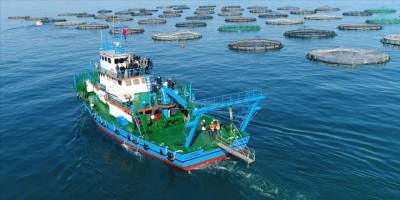 Doğu Karadeniz'den su ürünleri ihracat geliri 15 milyon doları aştı