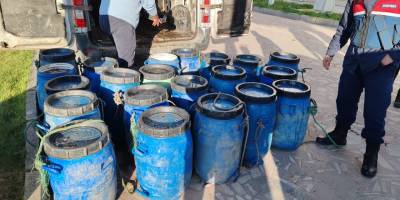 Kaçak avlanan 600 kilogram deniz patlıcanı suya bırakıldı