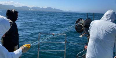 Denize kaçak serilen 500 metre kalkan ağı ele geçirildi