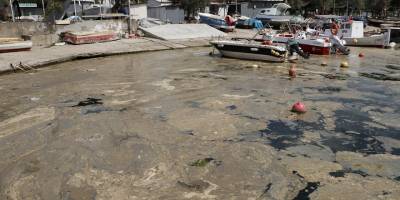 İzmit Körfezi'ndeki köpüksü tabakanın temizlenmesi için çalışma başlatıldı