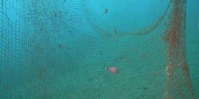 İzmir Karaburun'da denizden 1,5 ton hayalet ağ çıkarıldı