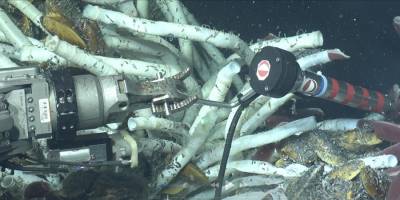 Pasifik'te araştırma yapan ODTÜ ekibi nadir volkanik patlamaya tanıklık etti