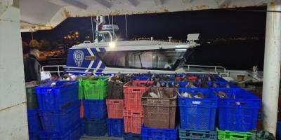 Samsun'da kaçak avlanan 6 ton kalkan balığı kentte çeşitli kurumlara dağıtıldı