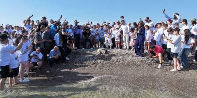 Antalya'da caretta carettalara uydu izleme cihazı takıldı