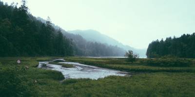 "Sulak Alanların Değeri, Korunması ve Finansmanı" başlıklı rapor yayımladı