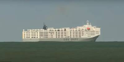 Dünyanın en büyük canlı hayvan taşıma gemisini bir Türk şirket alıyor