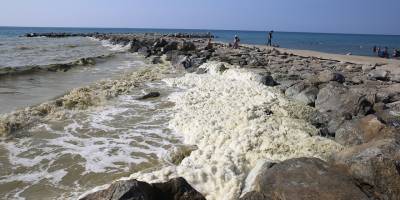 Hatay'da deniz kıyısında köpük benzeri tabaka oluştu