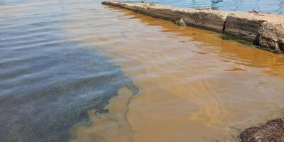 MOST Denizcilik, Marmara Deniz'indeki kirliliğe müdahale etti