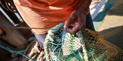 Mersinli balıkçılar uluslararası sulardaki av sezonunda umduklarını bulamadı