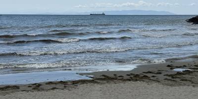 Saray'da 4 gün denize girmek yasaklandı