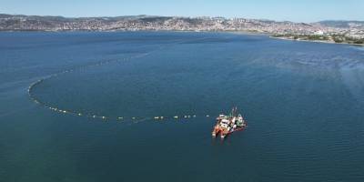 İzmit Körfezi'nde balık popülasyonu yüzde 35 arttı