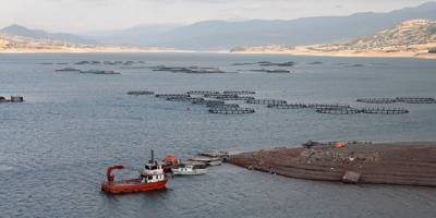 Tokat'tan 29 ülkeye  balık ihraç ediliyor