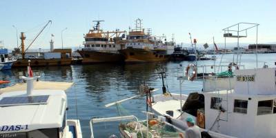 Sinop'ta 286 balıkçı teknesi denetlendi