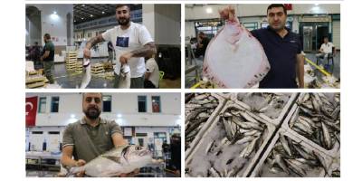 Egeli balıkçılar, ağların dolmasıyla sezona umutla başladı