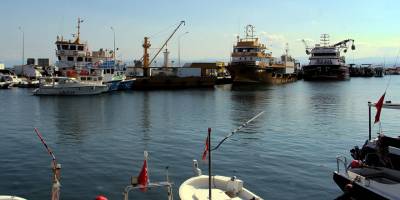 Sinop'ta balıkçılar denizden umduğunu bulamadı