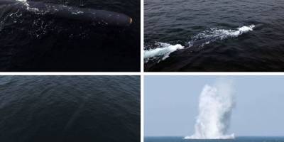 Kuzey Kore "su altı dronu"nu yeniden test etti