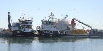 Poyrazın etkisini yitirmesiyle balıkçılar yeniden denize açıldı