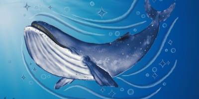 14 metrelik Fin balinasının iskeleti topraktan çıkarılacak