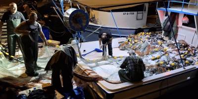 Sinop'ta bir gecede yaklaşık 9 bin palamut avlandı