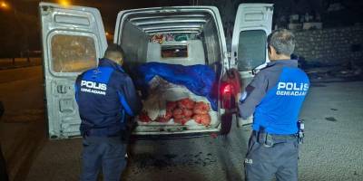 Kaçak avlanan 5 ton midye ele geçirildi