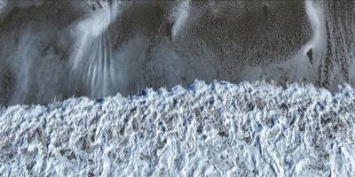 Yabanlı, "Deniz canlılarının ve besin zinciri risk altında"