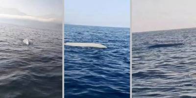 Artvin açıklarında insansız deniz aracı bulundu