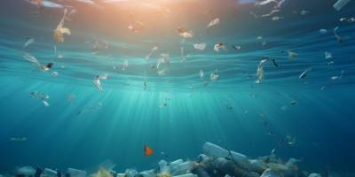 Mersin ve çevresindeki de­nizlerde plastik kirliliği en­dişe verici seviyelere ulaştı