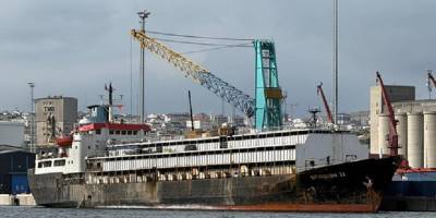 Tahliye edilemeyen ithal hayvan gemisi krizi