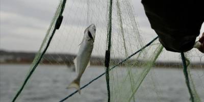 Balıkçılık desteklerinin artması sektörün hedeflerine ulaşmasını hızlandıracak