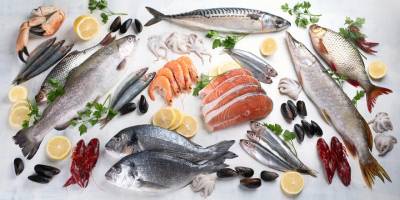 Balığın tazelik derecesini gösteren ölçüm cihazına "buluş" tescili