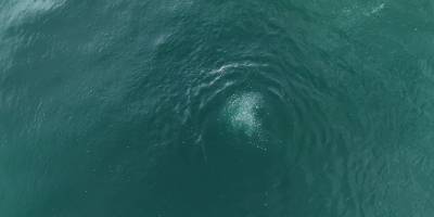 Sapanca Gölü'nde oluşan kabarcıklar görüntülendi
