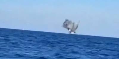 Romanya, Karadeniz'de İDA'yı etkisiz hale getirdiğini açıkladı