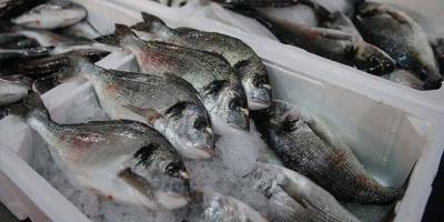 Türkiye'nin su ürünleri ihracatı 2022'de 1,5 milyar doları aştı