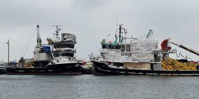 Tekirdağ'da poyraz deniz ulaşımını olumsuz etkiliyor
