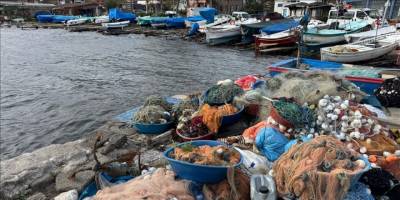 Düzce ve Bartın'da balıkçılar bu sezon av miktarında umduğunu bulamadı