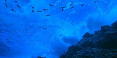 Okyanuslar için kritik eşik: 2026’da neler değişecek?