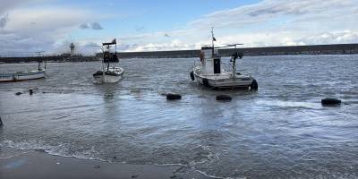 Taşan deniz Kozlu Limanı'nı su altında bıraktı