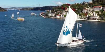 WWF-Türkiye, 2026'da Türkiye'nin iklim hedeflerine bilimsel katkı sunacak