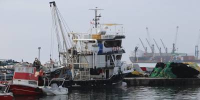 Tekirdağlı balıkçılar torik için ağ atacak