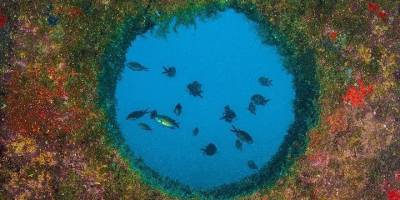 Denizlerde balık sayısı yapay yuvalarla artıyor