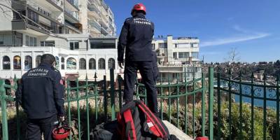 Falezlerde mahsur kaldığı sanılan kedi itfaiyeyi harekete geçirdi