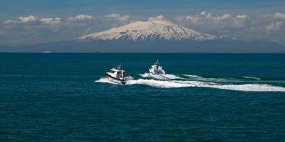 İnci kefalinin korunmasına Sahil Güvenlik'ten destek
