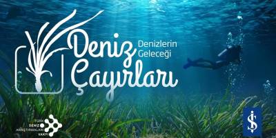 Denizlerin Akciğerleri Türkiye’de Tehlikede